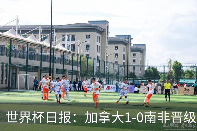世界杯日报：加拿大1-0南非晋级创历史 韩国主帅洪明甫下课