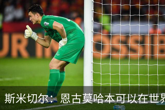 斯米切尔：恩古莫哈本可以在世界杯改变局势，但他能参加下一届